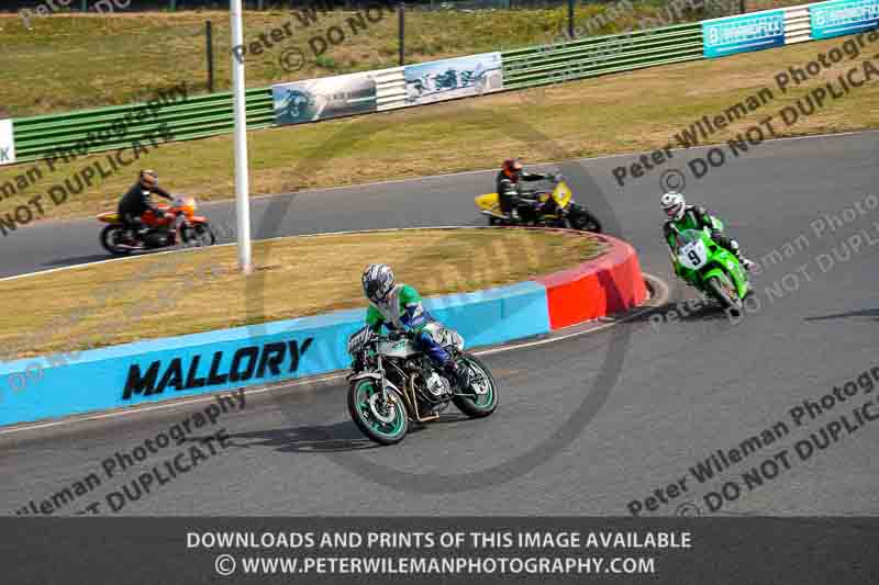 Vintage motorcycle club;eventdigitalimages;mallory park;mallory park trackday photographs;no limits trackdays;peter wileman photography;trackday digital images;trackday photos;vmcc festival 1000 bikes photographs